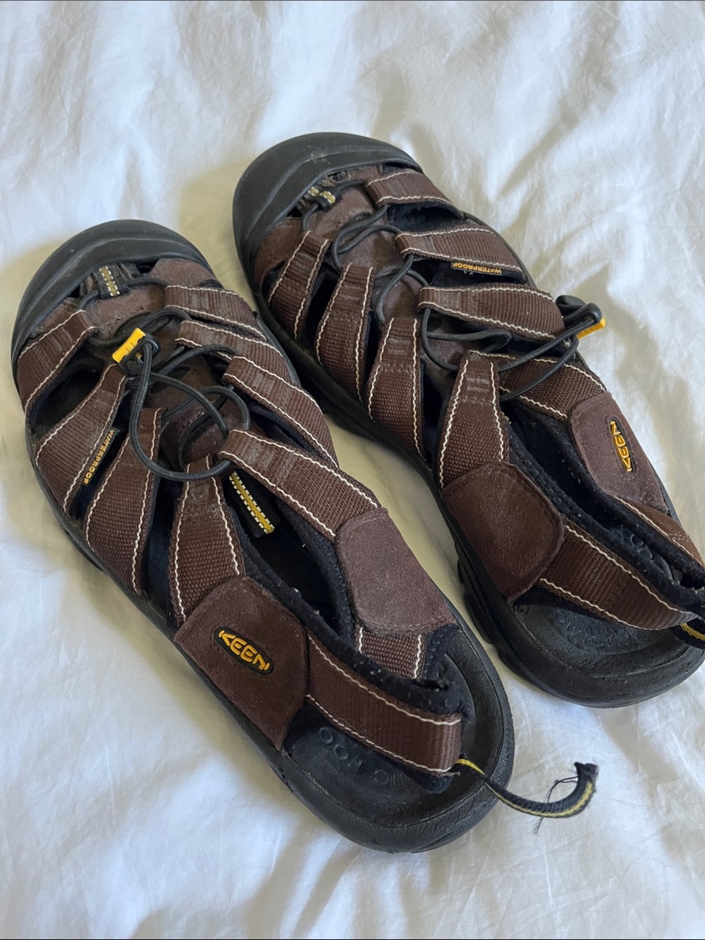 KEEN Newport H2 men's sandals in brown with a bungee cinching system